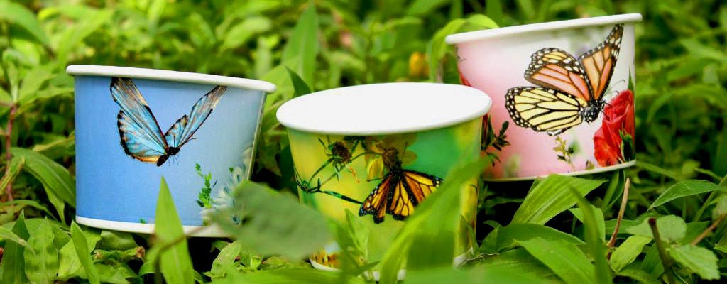Printed Paper Cup